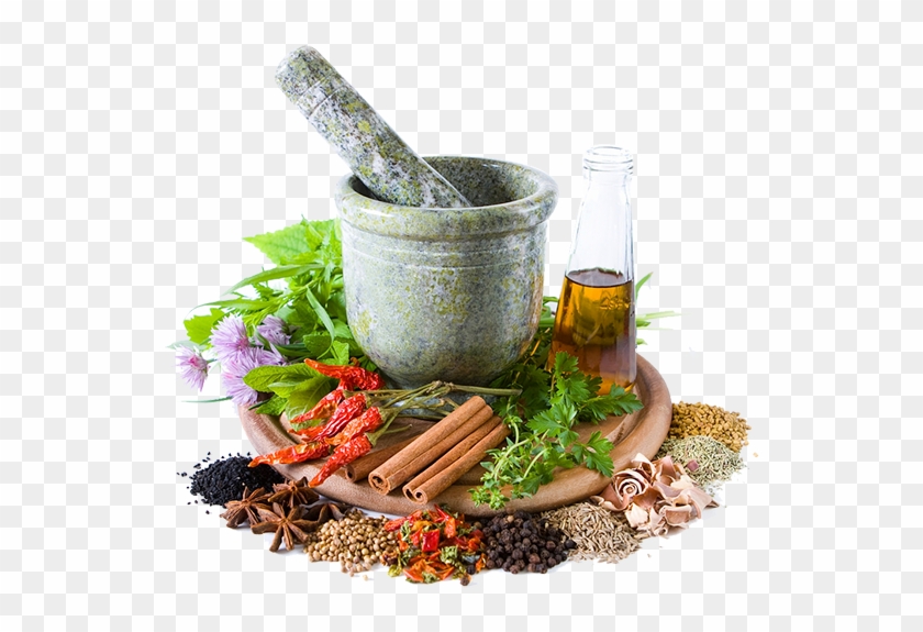 Herbal Nutrition